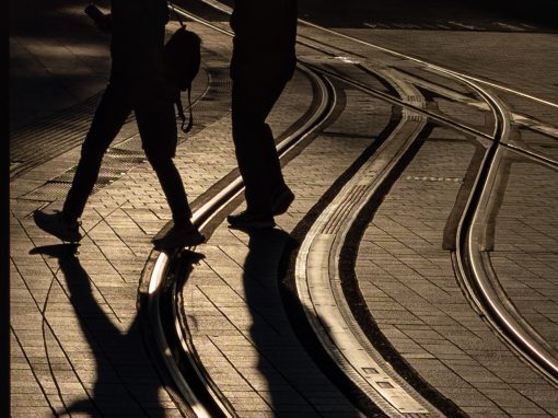 Crossing The Lines