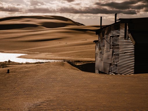 Landscapes